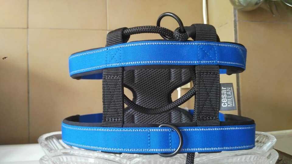 Колан One Tigris подръжка за средни до големи кучета, с три дръжки