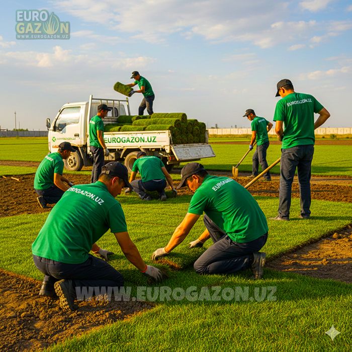 Gazon ornatish xizmati | Газон орнатиш | таййор Газон
