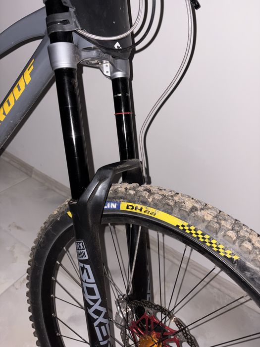 Nukeproof Dissent 290 29” L Dh
