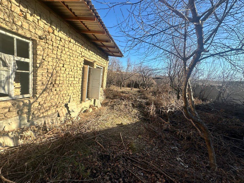 Кибрай кабачок земля фасад 20/35