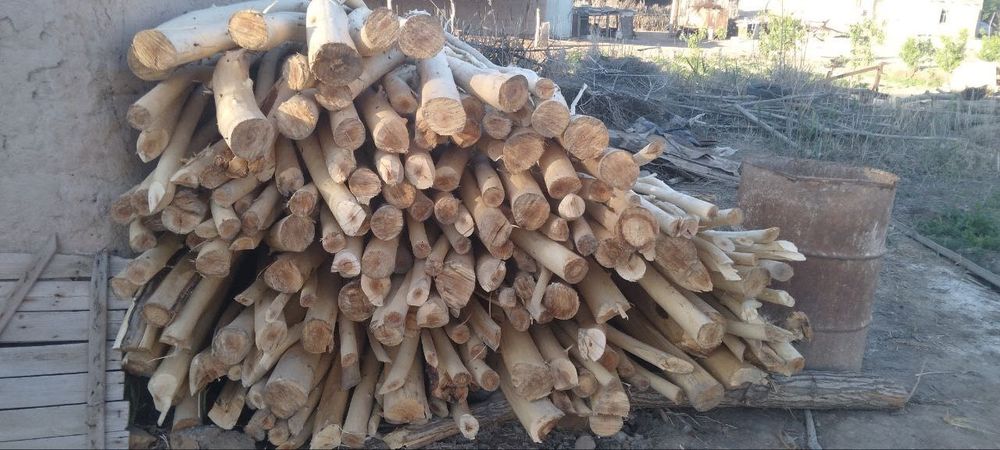 Agash xoda  sotiladi Aq sovit