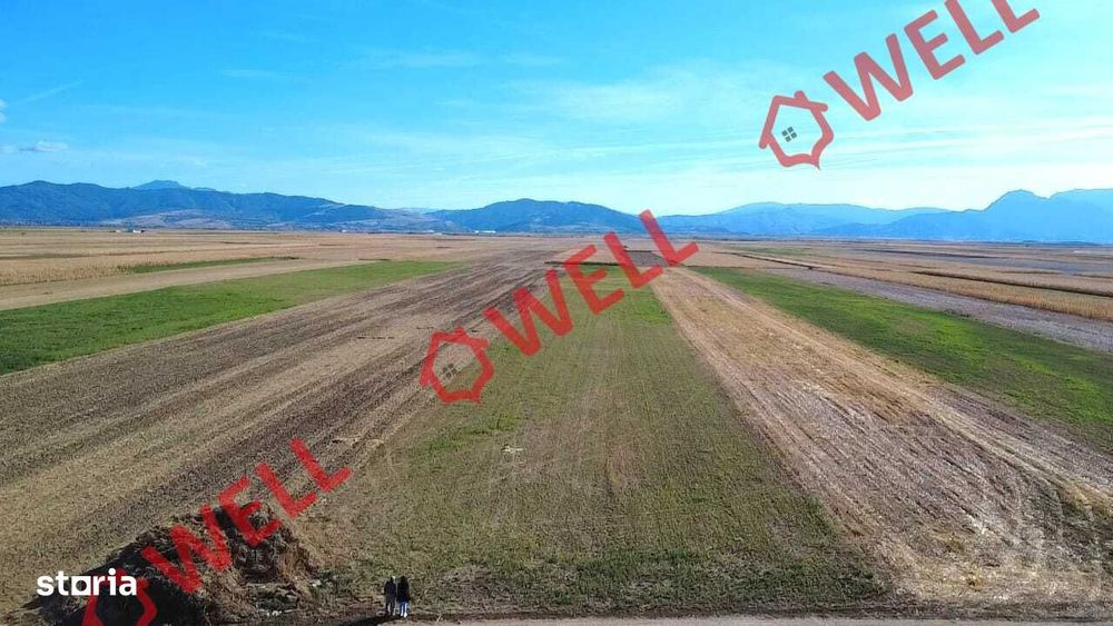 Teren extravilan de vânzare în Prejmer!