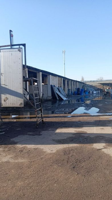 Bektemirda tayyor biznes bilan 50 sotix yer sotiladi ,В Бектемире