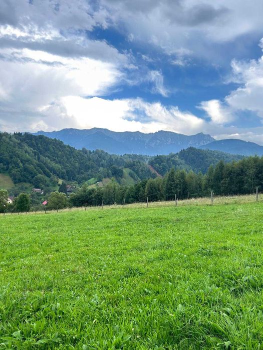 PROPRIETAR - 3274 mp intravilan Simon (BRAN)