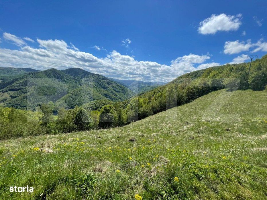 Intravilan de vanzare in Satul Plopi, se poate parcela Comuna Valea Ie