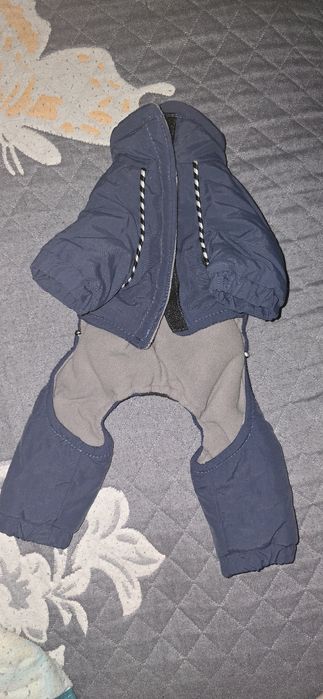 Костюм для маленьких собак