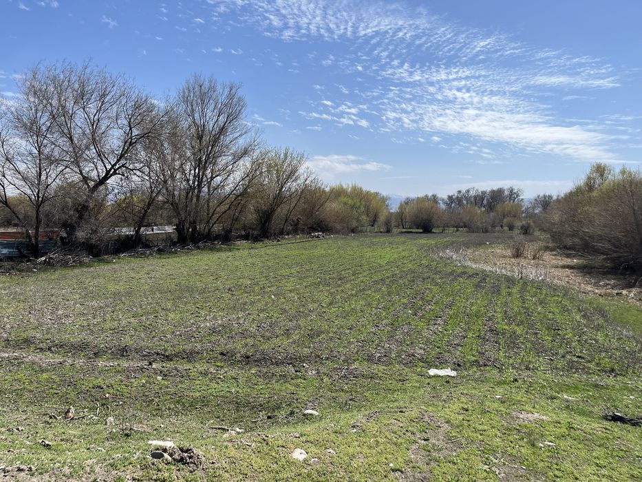 Продам дом 70 соток земли Срочно