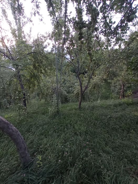 Srochna Yer sotiladi 8 sotix Bo'stonliqda