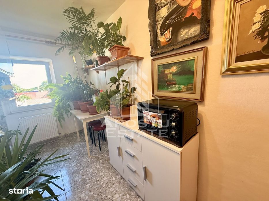 Apartament 1 camera de vanzare, zona Lunei, Timisoara