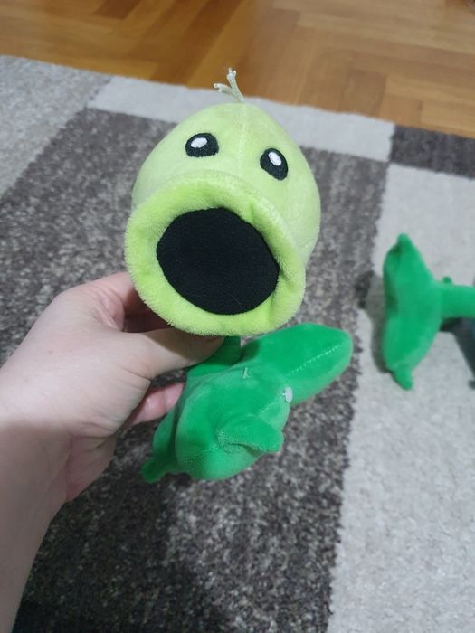 Plusuri plante în stare bună