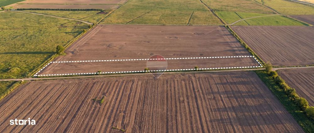 Teren extravilan 12,500mp Dumbrava / Prahova