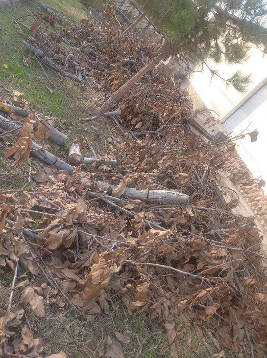 Уткин.сотилади.500.000 енгокники