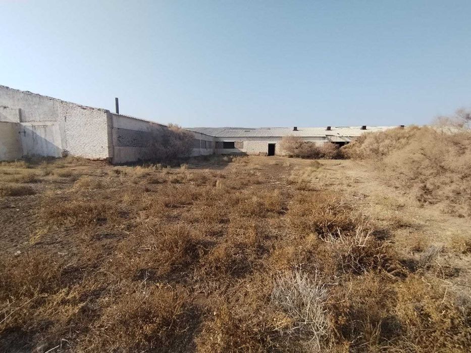 Мал ферма сатылады, яки арендага бериледи