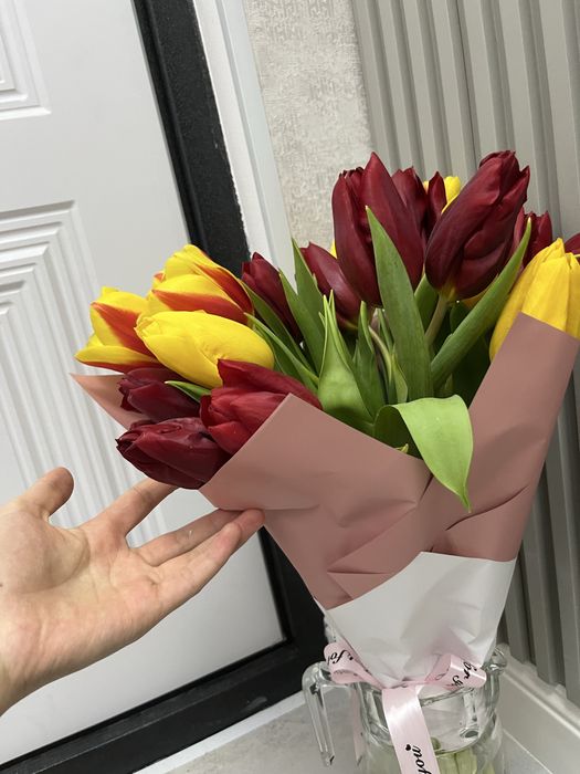 Тюльпан свежии 21 штук