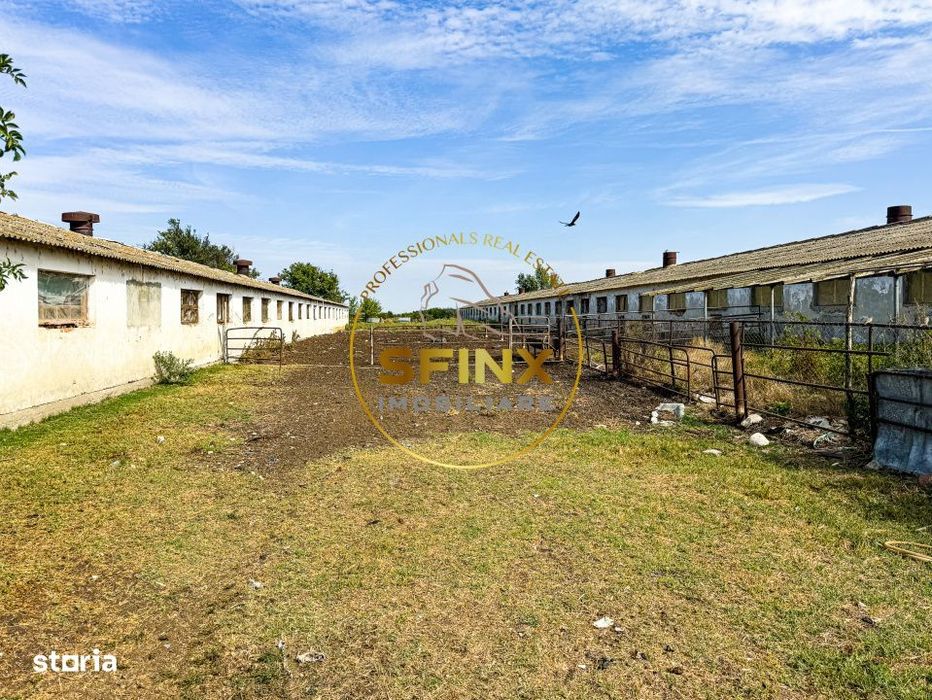 Teren intravilan cu potential de investitie 62000mp