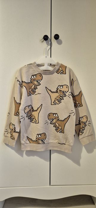 Lot 5 hanorace flausate H&M mărimea 4-6 ani