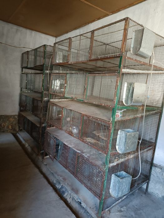 Клетка для кроликов