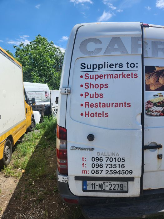 Uși spate Mercedes Sprinter