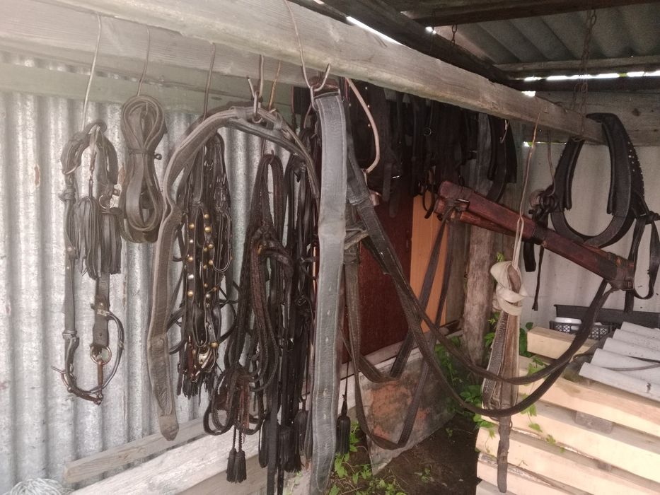Продам сбрую троешный комплект