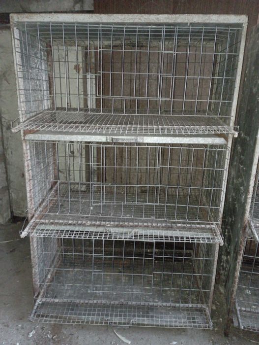Продам клетки для кур несушек.