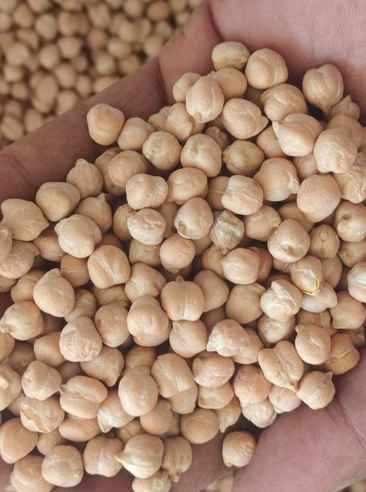 Продам рис Нут фасоль Маш