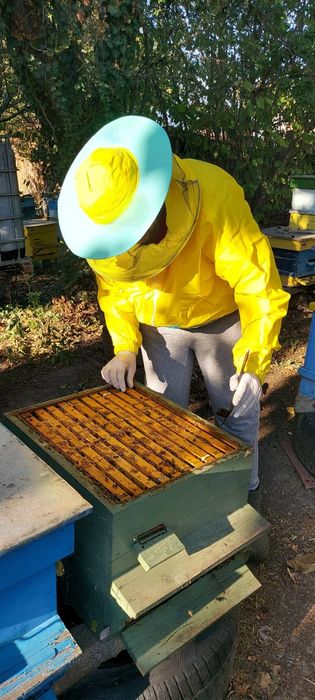 НАТУРАЛЕН Пчелен мед