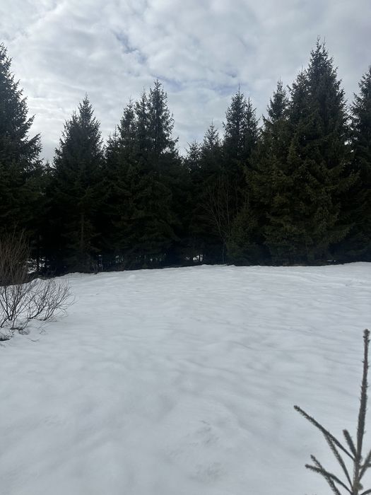 De vanzare Teren intravilan Belis-Balcesti, 700 mp, înspre Lac