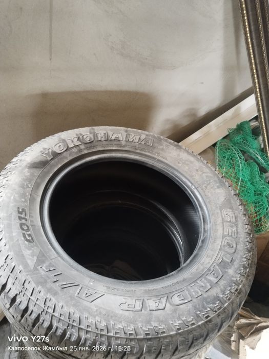 Жаздық дөңгелек бу