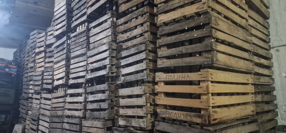 продам деревянные ящики под яблок