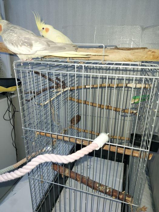 Клетка для попугаев б/у