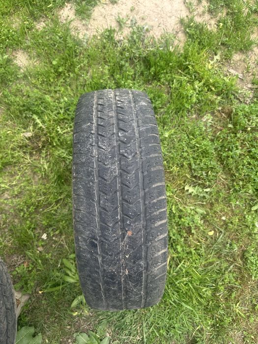 Газель балон буу