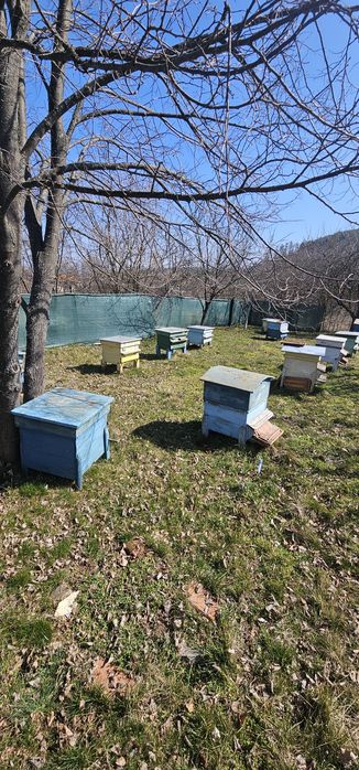 Пчелни кошери 17 броя