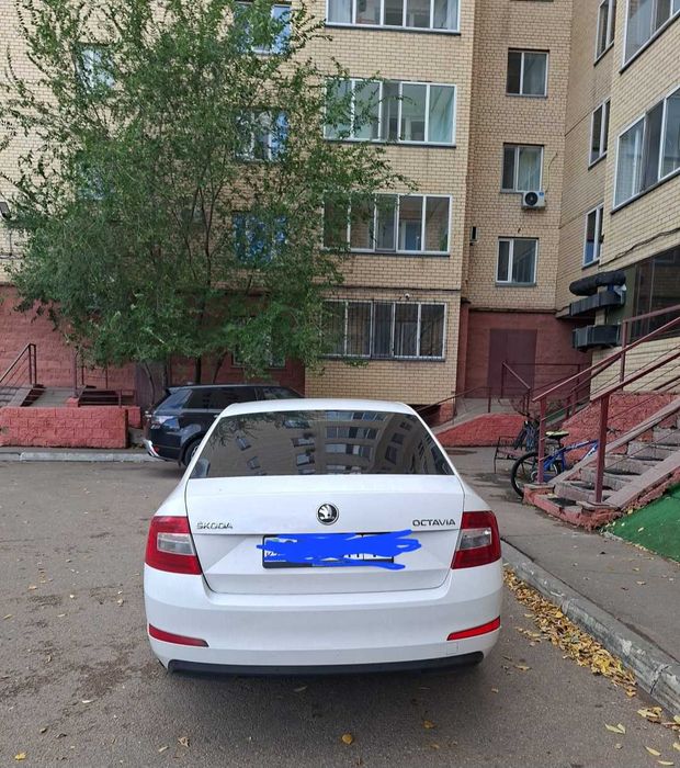 Шкода октавия 2013 год