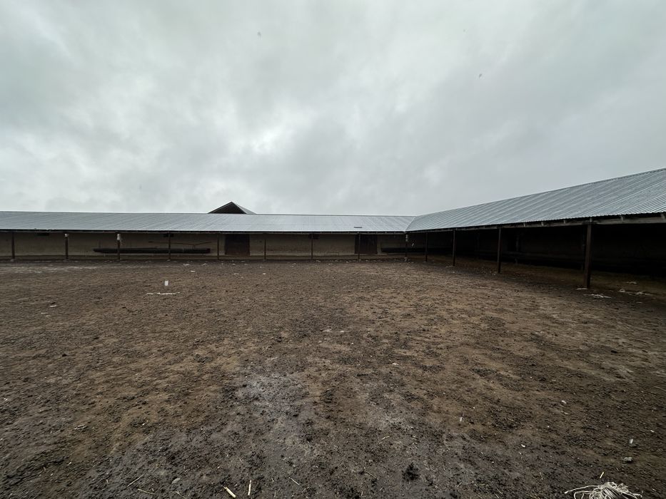 Дайын Қора 800-га жер телімі сатылады