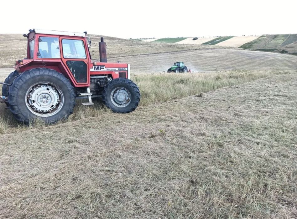 Curatare defrisare terenuri tocat spini