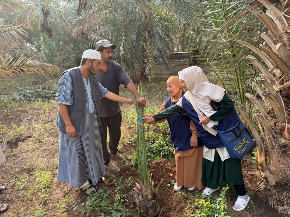 Умра сафари Декабрь Январь ойига Қабулларимиж очиқ