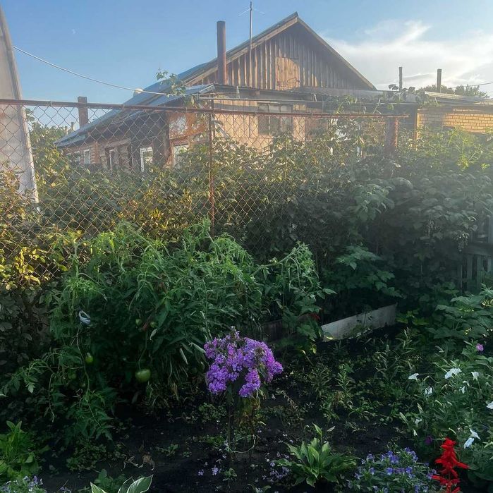 Продам дом в Лесхозе