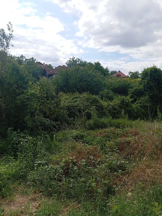 Косене почистване на дворове