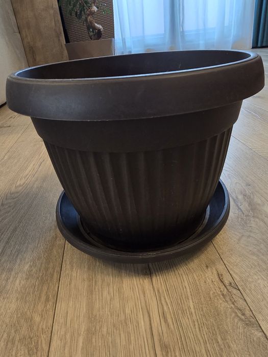 Саксии пластмасови и порцеланови