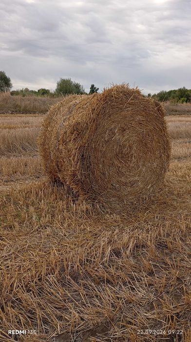 Рулонни бали слама