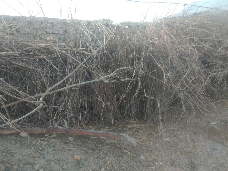 Утин сотилади тандир учун