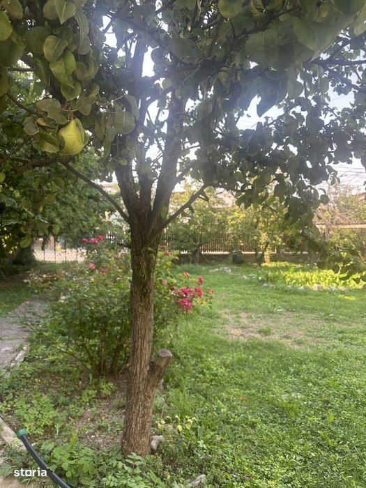 Poiana Câmpina - casa P+E - teren 1300mp - 500000 Euro