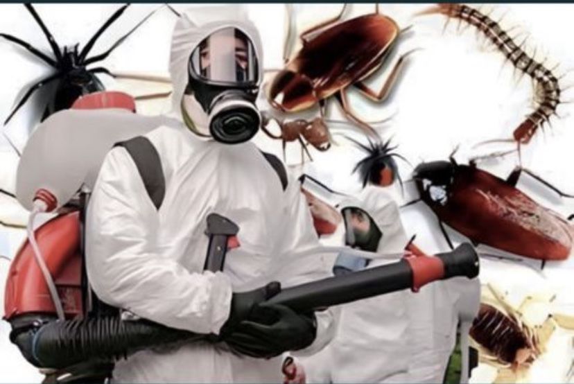 Дезинфекция  уничтожения  насекомых!!!