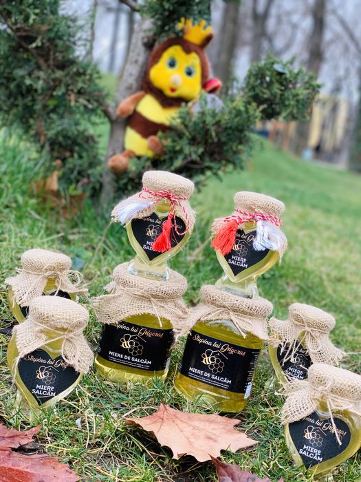 Miere, propolis - Certificat BIO!!! Matci, familii de albine, roiuri!