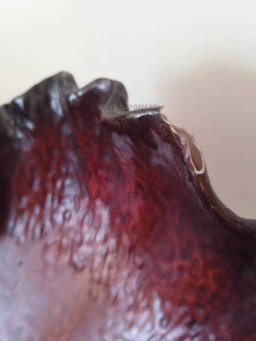 Антична среда на 20-ти век Гипсова скулптура чаша