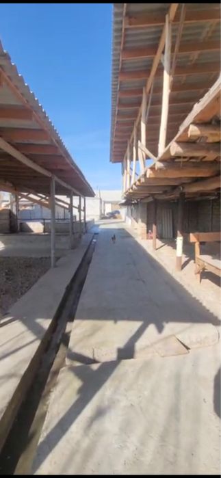 Uy Quyichirchiq Mingchinor