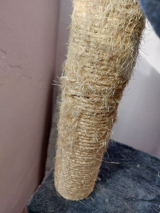 Катерушка драскалка за коте