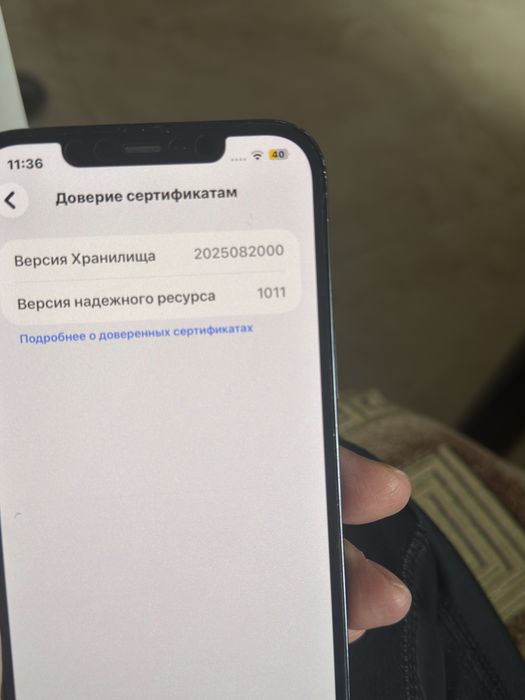 Iphone 12 Pro Max 256 GB