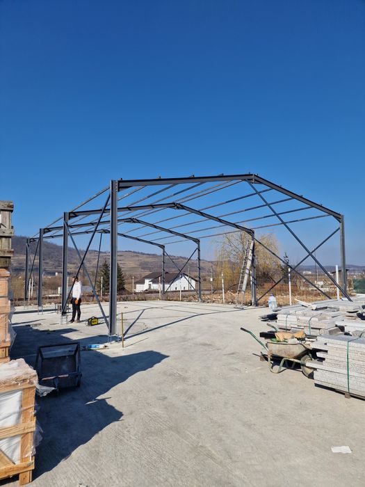 Vand structura metalica