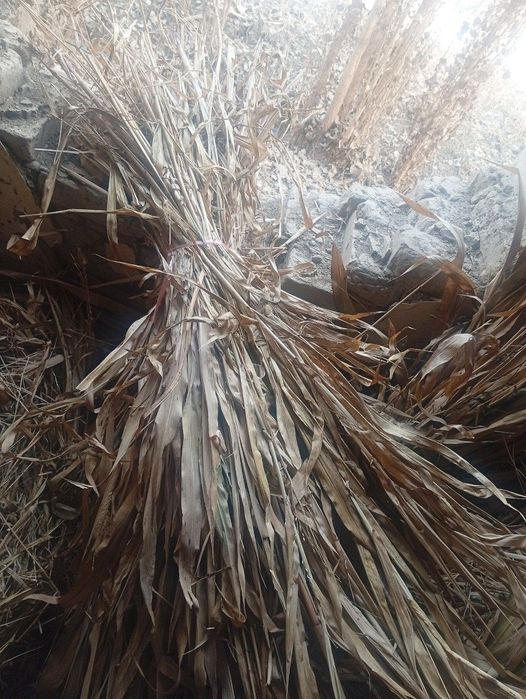 Juvari poya sotiladi 1000 vog' qoldi